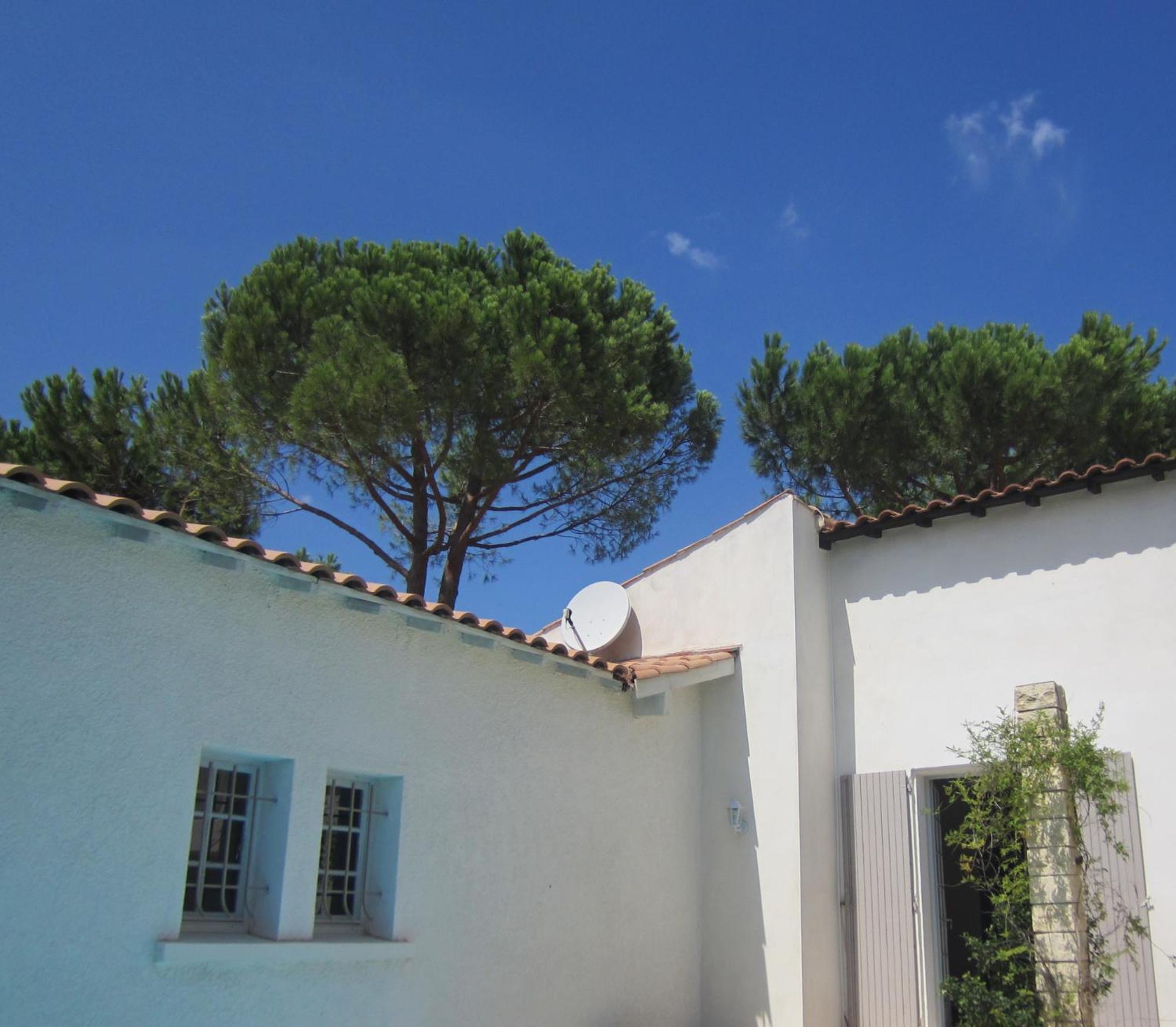 La Fille Du Berger Bed & Breakfast Puissalicon Exterior photo